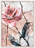 Blush Vintage Pink Rose Flower Wall Art 30X40 Cm / 12X16 Copper Frame Print Material