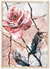 Blush Vintage Pink Rose Flower Wall Art 30X40 Cm / 12X16 Natural Wood Frame Print Material