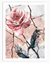 Blush Flowers Wall Art | Botanical Wall Art in Poster, Frames & Canvas