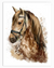 Bronco Horse Wall Art | Animals Wall Art in Poster, Frames & Canvas