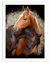 Endearment Horse Wall Art | Animal Wall Art in Poster, Frames & Canvas