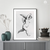 Ethereal Angel Black & White Wall Arts | Line Drawing Illustration Wall Art in Poster, Frames & Canvas