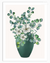 Eucalyptus Flowers Plant Wall Art | Leaves Wall Art in Poster, Frames & Canvas