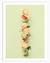French Macarons Desert Wall Art | Food Wall Art in Poster, Frames & Canvas
