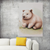 Gentle Spirit - Wombat in the Wild – Australian Wildlife Canvas Wall Art Print Decor Stretched Canvas / 40x60 cm