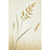 Golden Grass – Minimalist Australian Botanical Canvas Wall Art Print Decor Print Material