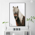 Icelandic Horse Wall Art