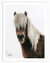Icelandic Horse Wall Art | Animal Wall Art in Poster, Frames & Canvas