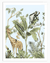 Levity Safari Wall Art | Animal Wall Art in Poster, Frames & Canvas