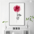 Magenta Chronicles Flowers Wall Art | Botanical  Wall Art in Poster, Frames & Canvas