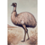 Outback Wanderer - The Majestic Emu – Australian Wildlife Canvas Wall Art Print Decor Print Material