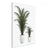 Palm Trees In A White Pot Wall Arts | Food Wall Art in Poster, Frames & CanvasPalm Trees In A White Pot Wall Arts | Food Wall Art in Poster, Frames & Canvas