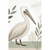 Pelican Minimalist Wall Art – Australian Coastal Bird Botanical Print Material