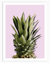 Pineapple in Pink Fruits Wall Art | Food Wall Art in Poster, Frames & Canvas