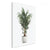 Potted Palm Tree Wall Arts | Plant Wall Art in Poster, Frames & CanvasPotted Palm Tree Wall Arts | Food Wall Art in Poster, Frames & Canvas