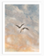 Soaring Birds Wall Art | Animal Wall Art in Poster, Frames & Canvas