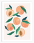 Sweet Peaches Fruit Wall Art | Food Wall Art in Poster, Frames & Canvas