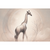 The Graceful Giraffe Wall Art Print Print Material