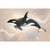 The Majestic Orca Wall Art Print Print Material