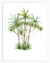 Tropical Palm Trees Wall Arts | Coconut Trees Wall Art in Poster, Frames & Canvas