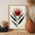 Waratah Bloom – Minimalist Australian Botanical Canvas Wall Art Print Decor Print Material