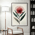 Waratah Bloom – Minimalist Australian Botanical Canvas Wall Art Print Decor