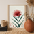 Waratah Bloom – Minimalist Australian Floral Canvas Wall Art Print Print Material