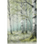 Whispering Woods Nordic Scandinavian Forest Trees Wall Art Print Unframed Poster / 40x60 cm / 16x24″ / -Poster Only-