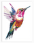 Alight Bird Wall Art | Animal Wall Art in Poster, Frames & Canvas