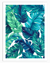 Ferns Plant Wall Art | Botanical Wall Art in Poster, Frames & Canvas